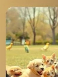 Cover art for Pets Are the Best